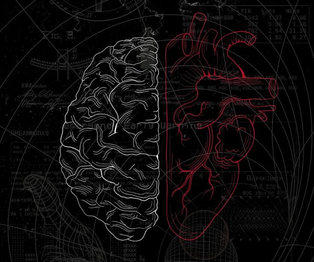 Brain Optimization, Focus, Nootropics, Testosterone, and Feeding the Mind